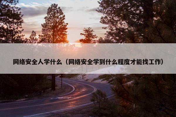 网络安全人学什么（网络安全学到什么程度才能找工作）