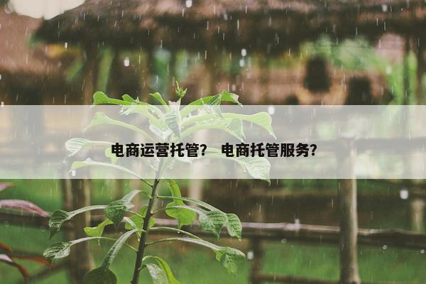 电商运营托管？ 电商托管服务？
