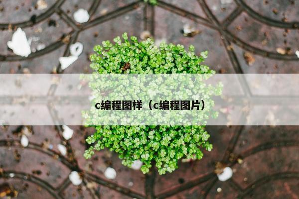 c编程图样（c编程图片）