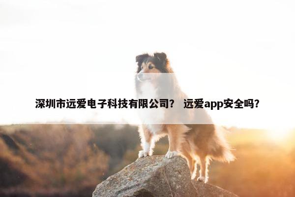 深圳市远爱电子科技有限公司？ 远爱app安全吗？