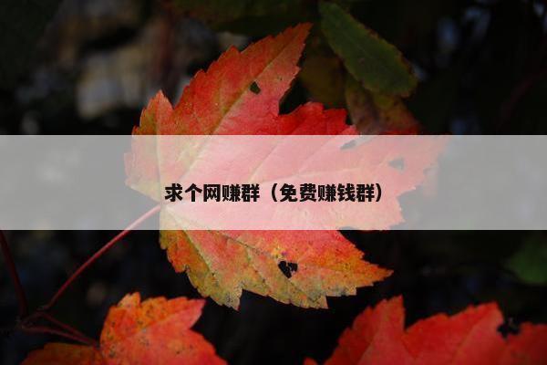 求个网赚群（免费赚钱群）