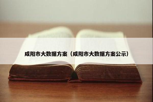 咸阳市大数据方案（咸阳市大数据方案公示）