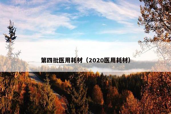 第四批医用耗材（2020医用耗材）