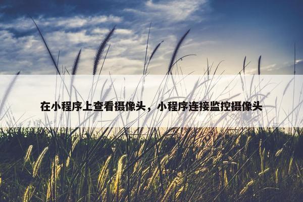 在小程序上查看摄像头，小程序连接监控摄像头