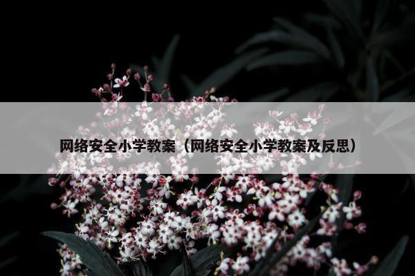 网络安全小学教案（网络安全小学教案及反思）
