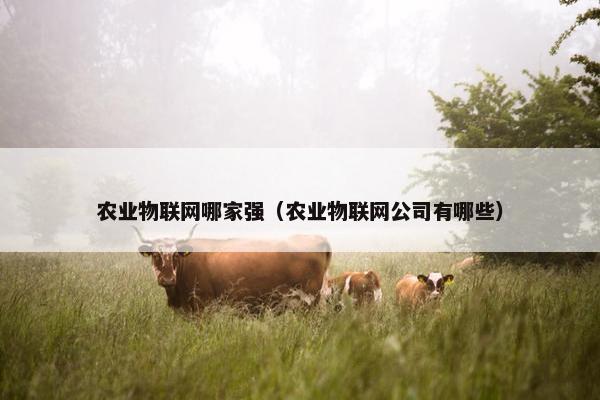 农业物联网哪家强（农业物联网公司有哪些）