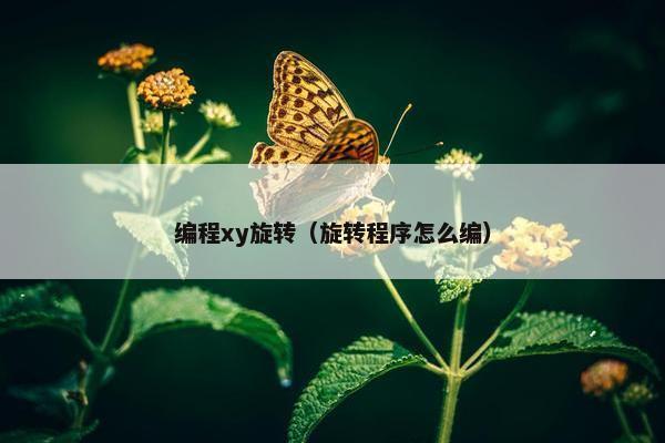 编程xy旋转（旋转程序怎么编）