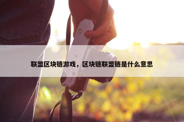 联盟区块链游戏，区块链联盟链是什么意思