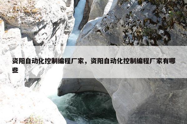 资阳自动化控制编程厂家，资阳自动化控制编程厂家有哪些