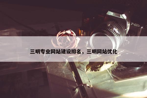 三明专业网站建设排名，三明网站优化
