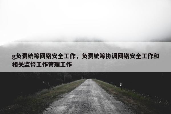 g负责统筹网络安全工作，负责统筹协调网络安全工作和相关监督工作管理工作
