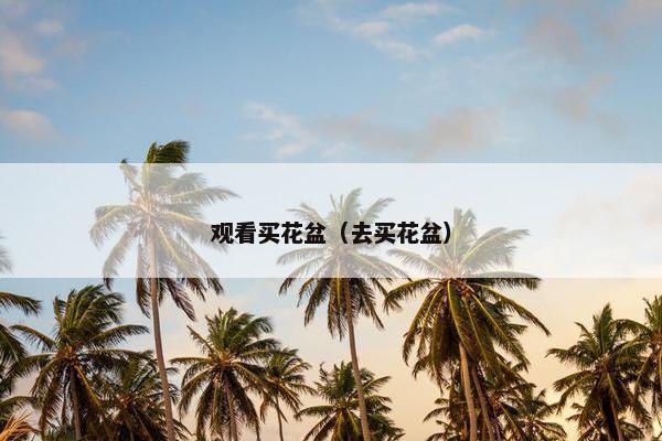 观看买花盆（去买花盆）