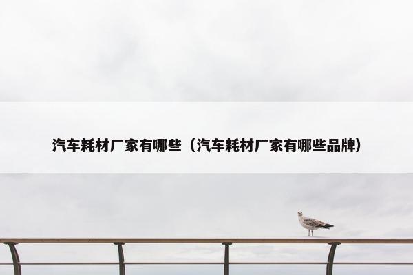 汽车耗材厂家有哪些（汽车耗材厂家有哪些品牌）