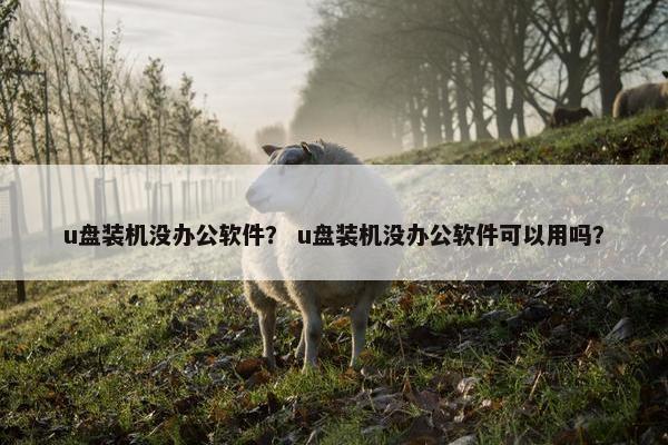 u盘装机没办公软件？ u盘装机没办公软件可以用吗？