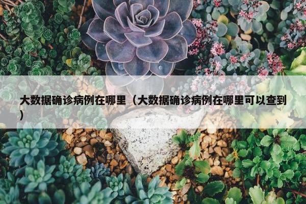 大数据确诊病例在哪里（大数据确诊病例在哪里可以查到）