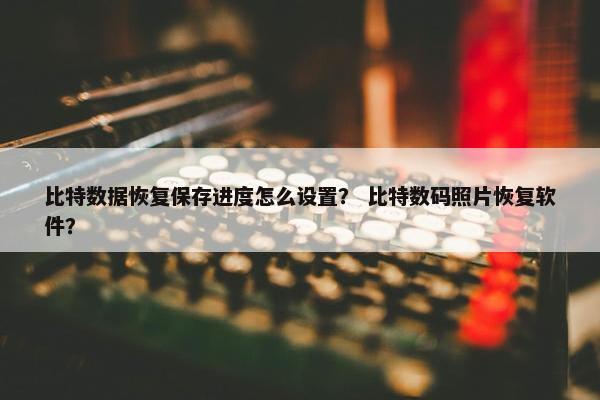 比特数据恢复保存进度怎么设置？ 比特数码照片恢复软件？
