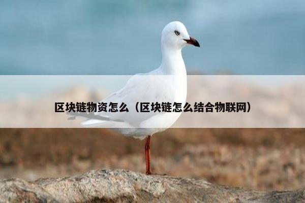 区块链物资怎么（区块链怎么结合物联网）