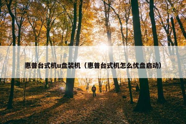 惠普台式机u盘装机（惠普台式机怎么优盘启动）