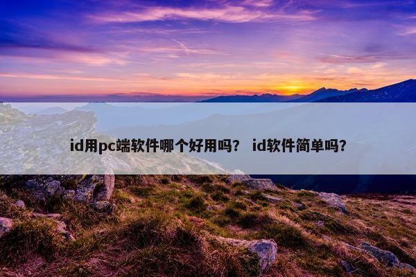 id用pc端软件哪个好用吗？ id软件简单吗？