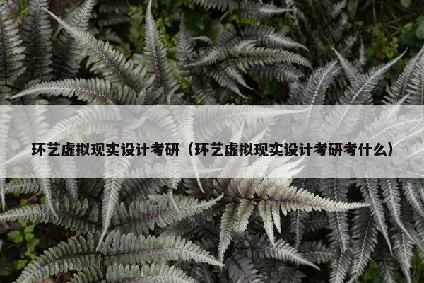 环艺虚拟现实设计考研（环艺虚拟现实设计考研考什么）