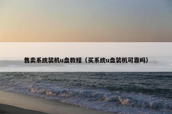 售卖系统装机u盘教程（买系统u盘装机可靠吗）