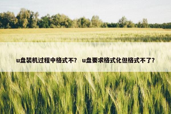 u盘装机过程中格式不？ u盘要求格式化但格式不了？