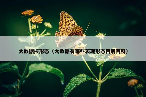 大数据按形态（大数据有哪些表现形态百度百科）