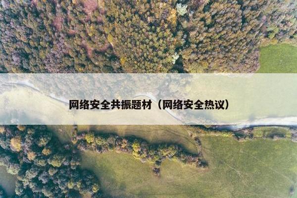 网络安全共振题材（网络安全热议）