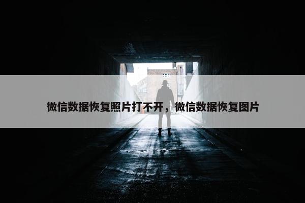 微信数据恢复照片打不开，微信数据恢复图片