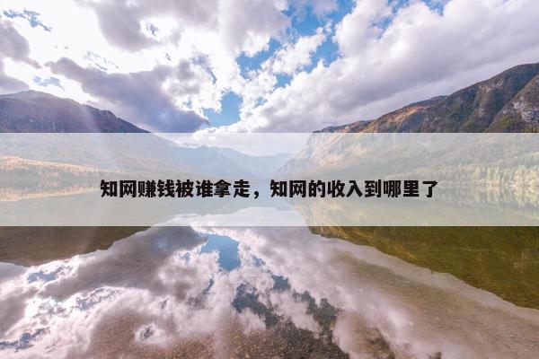 知网赚钱被谁拿走，知网的收入到哪里了