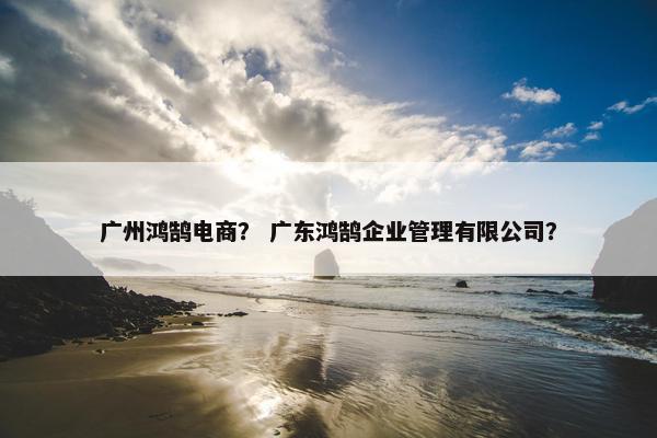 广州鸿鹄电商？ 广东鸿鹄企业管理有限公司？