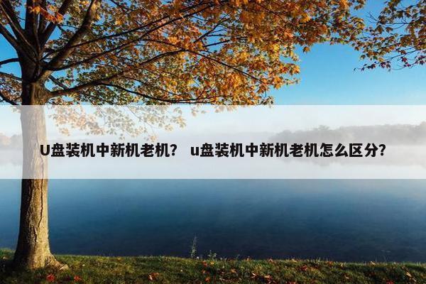 U盘装机中新机老机？ u盘装机中新机老机怎么区分？