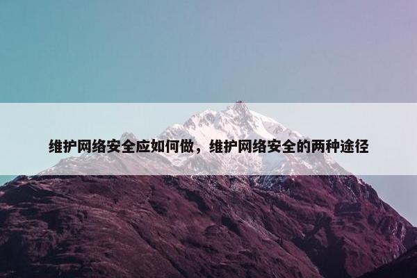 维护网络安全应如何做，维护网络安全的两种途径