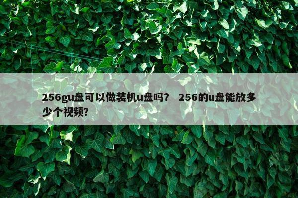256gu盘可以做装机u盘吗？ 256的u盘能放多少个视频？