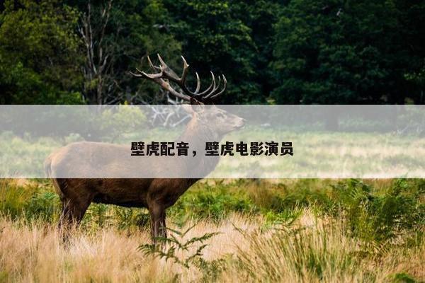 壁虎配音，壁虎电影演员