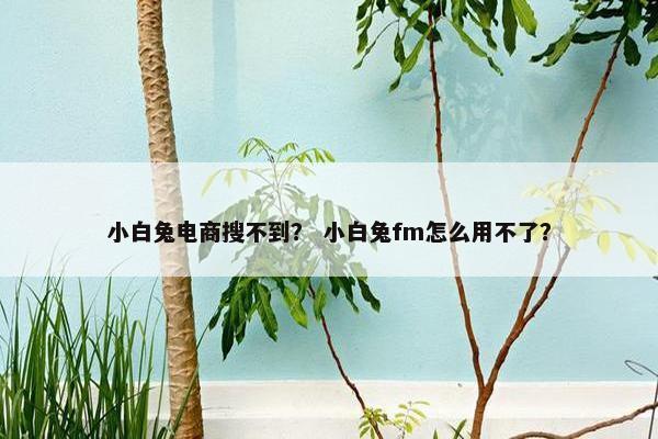 小白兔电商搜不到？ 小白兔fm怎么用不了？