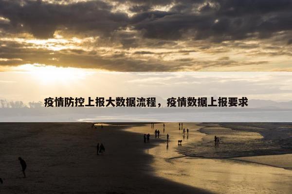 疫情防控上报大数据流程，疫情数据上报要求