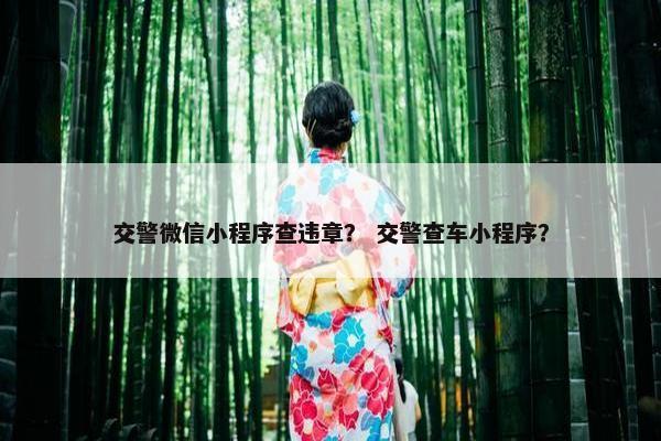 交警微信小程序查违章？ 交警查车小程序？