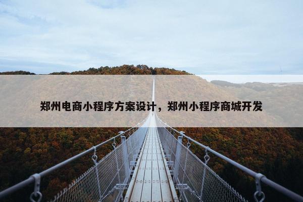 郑州电商小程序方案设计，郑州小程序商城开发