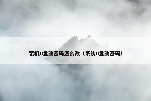 装机u盘改密码怎么改（系统u盘改密码）