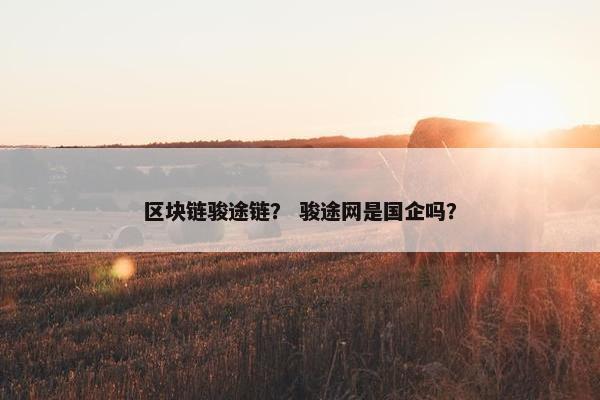 区块链骏途链？ 骏途网是国企吗？