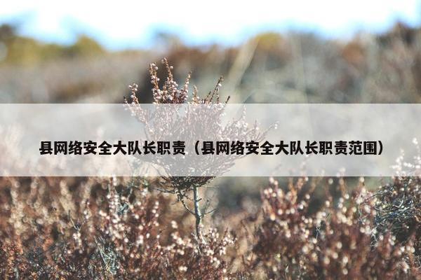 县网络安全大队长职责（县网络安全大队长职责范围）