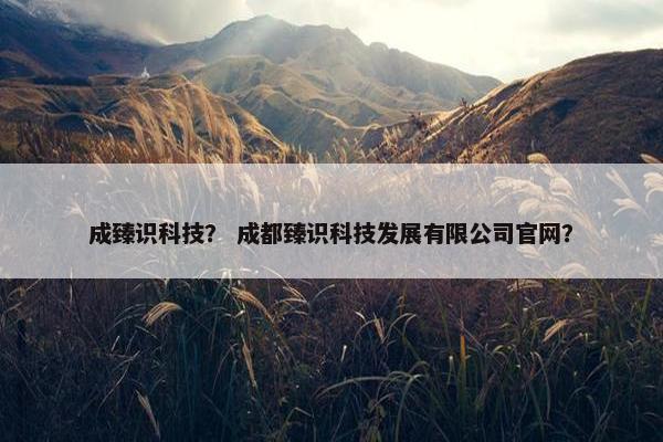 成臻识科技？ 成都臻识科技发展有限公司官网？