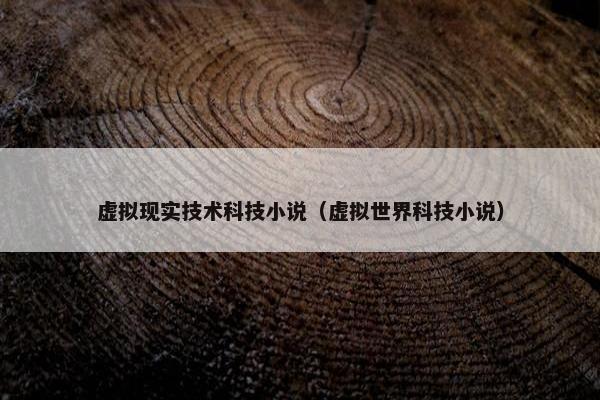 虚拟现实技术科技小说（虚拟世界科技小说）
