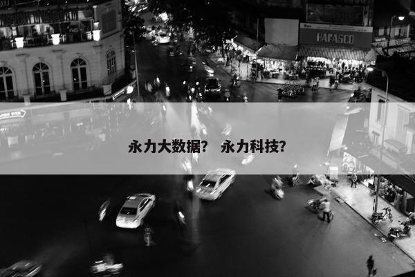 永力大数据？ 永力科技？