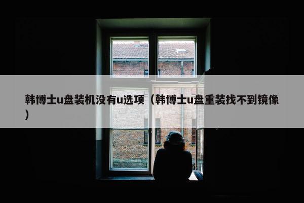 韩博士u盘装机没有u选项（韩博士u盘重装找不到镜像）