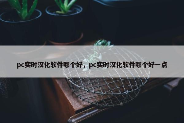 pc实时汉化软件哪个好，pc实时汉化软件哪个好一点