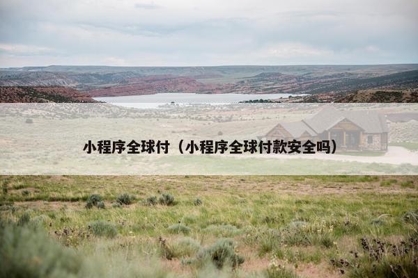 小程序全球付（小程序全球付款安全吗）