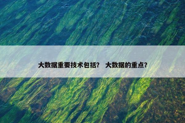 大数据重要技术包括？ 大数据的重点？