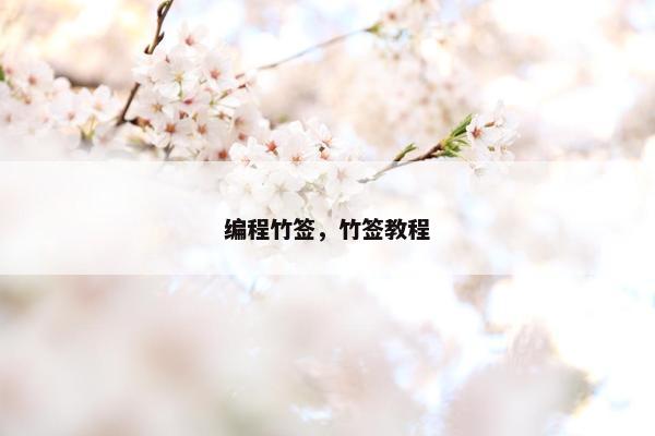 编程竹签，竹签教程